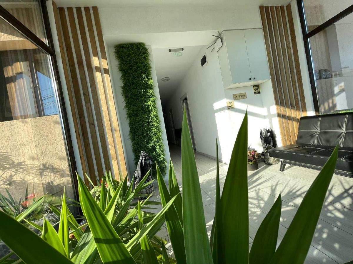 Pensiunea Prestige House 쿠티에데아게스 외부 사진